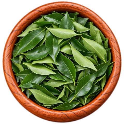 Curry Leaves